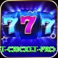 test cricket Premium Pakistan