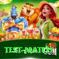 test match Apps (Tools & Injectors) VIP v3.9.0