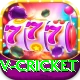 v cricket VIP v1.1.5