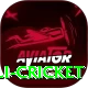 virat kohli cricket Plus Edition v2.9.3