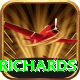 viv richards Pro Edition v4.2.1