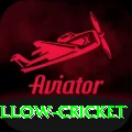 willow cricket Apps (Tools & Injectors) Gold v4.4.8