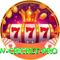 willow cricket - Gold Earning App