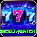 women cricket match Pro Edition v2.1.4